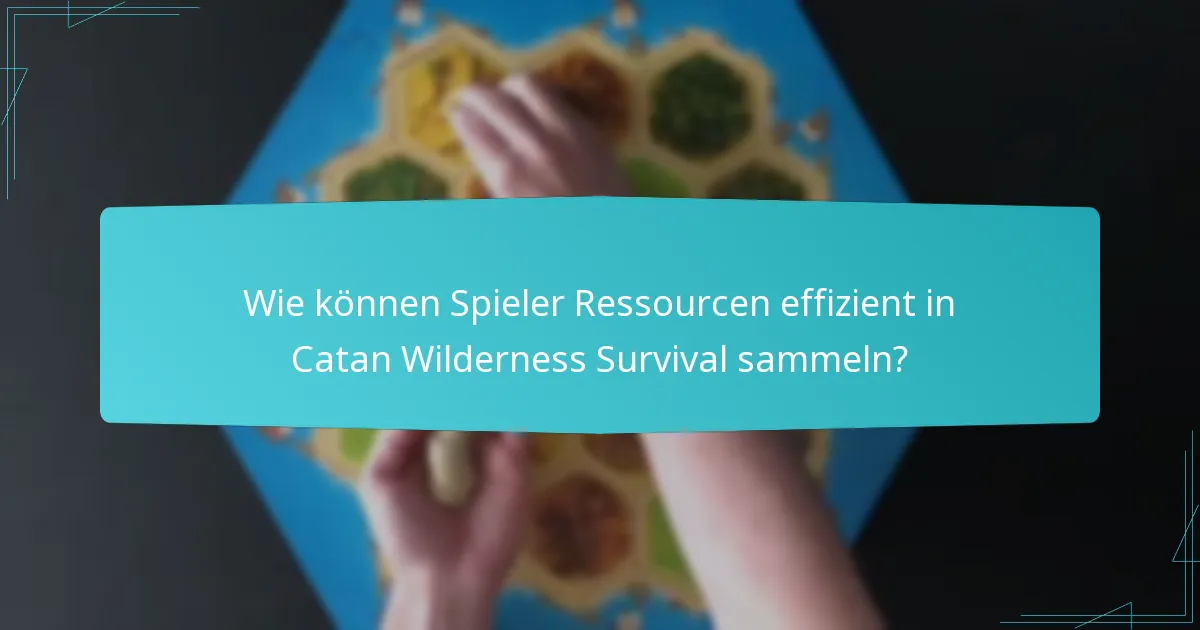 Wie können Spieler Ressourcen effizient in Catan Wilderness Survival sammeln?